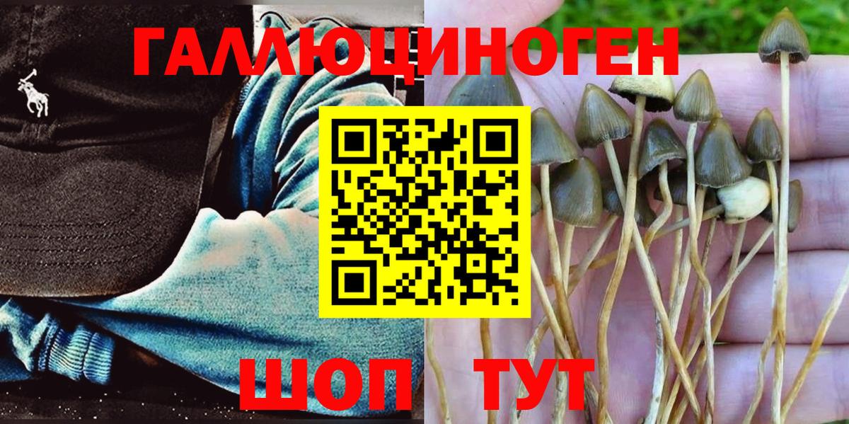 Псилоцибиновые грибы Cubensis  Вход с VPN  купить наркотики цена  Благодарный 